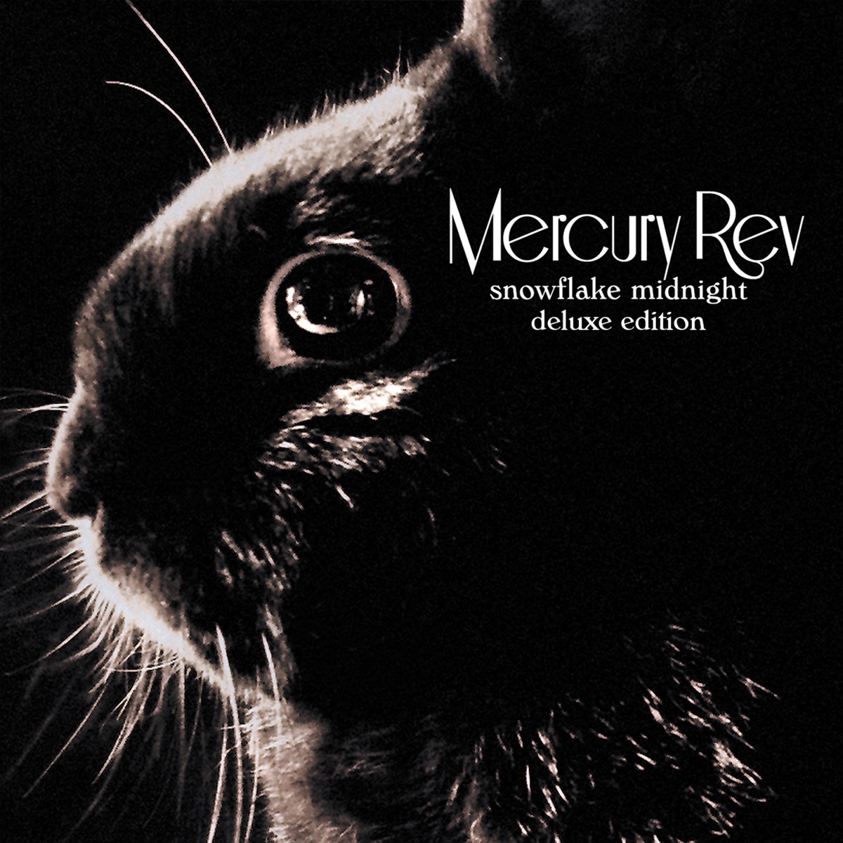 Deserter's Songs (Remastered) - Album by Mercury Rev - Apple Music