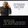 ВЯЧЕСЛАВ ДОБРЫНИН - СИНИЙ ТУМАН