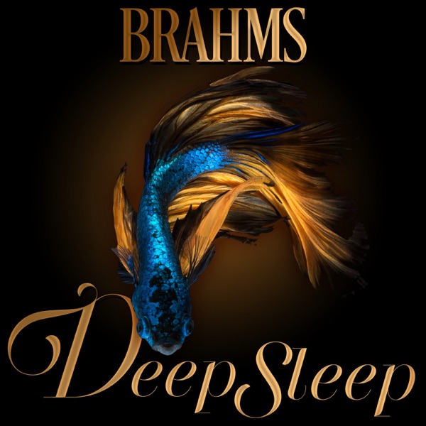 Brahms Deep Sleep