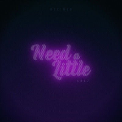 Need a Little (feat. Shaz) - Single