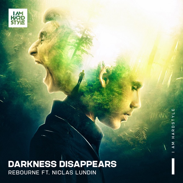 Darkness Disappears (feat. Niclas Lundin) - Single