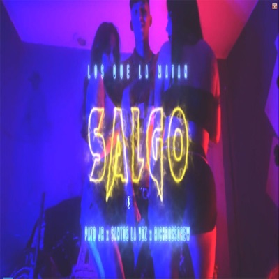 Salgo (feat. El Santos, & Young Drew) - Single