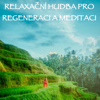 Relaxační Hudba pro Regeneraci a Meditaci - Relaxační Hudební Zóna