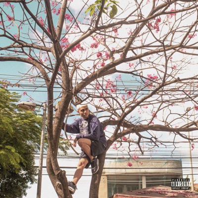 Flowers Bouquet - EP