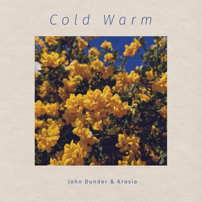 Cold Warm - Single