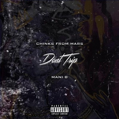Dont Trip (feat. Mani B) - Single