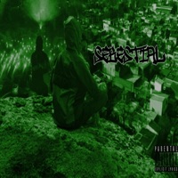 VOY - Single - Sebestial