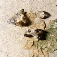 Bad Machine - Single - Migrant Motel