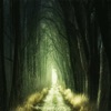 Willow - Single