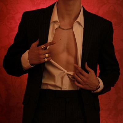 Vamos Vente - Single