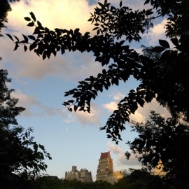 Feel the Water Adapt.