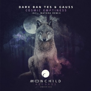 Cosmic Emptiness - Single