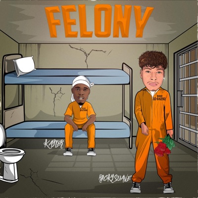 Felony - Single
