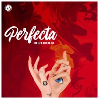 Perfecta (feat. CALU) - Single - Emi Zam