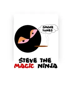 Listen to Steve the Magic Ninja, watch music videos, read bio, see tour dates & more!