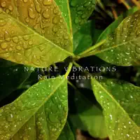 Gentle Rain and Thunder — Nature Vibrations