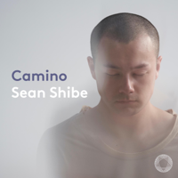 Sean Shibe - Camino artwork