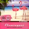 Danijela - Flamingosi lyrics