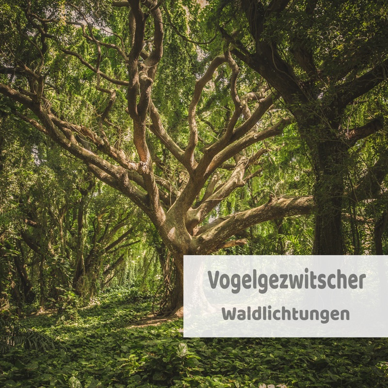 Am Waldesrand