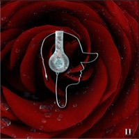 R & B Instrumentals, Volume 1 (Instrumental) - DJ Scandalous & TheHook Co