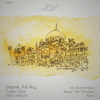 The Calling (Drumcomplex Remix) artwork