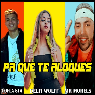 Pa Que Te Aloques (feat. COFLA STA & Delfi wolff) - Single