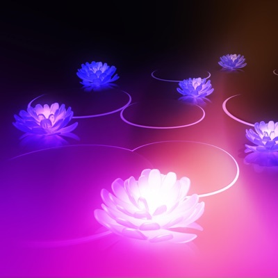 Lotus - Single