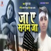 Ja Ae Sanam Ja - Single