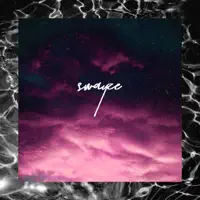 Swayze — FXRMXNT, The Darcys