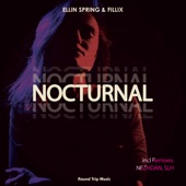 Nocturnal artwork