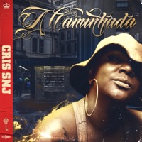A Caminhada - Single - Cris SNJ & DJ Hum