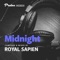 Pigmental (Rick Pier O'Neil & Desaturate Remix) - Nocturna lyrics