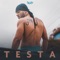 Testa - GUS lyrics