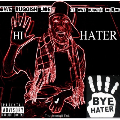 Hi Hater Bye Hater - Single