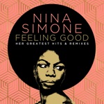 Nina Simone & Floorplan - I Put a Spell On You