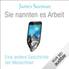 Sie nannten es Arbeit: Ein andere Geschichte der Menschheit - James Suzman