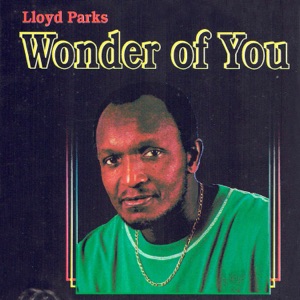 Wonder of You