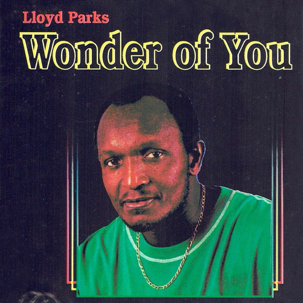 Wonder of You