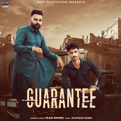Guarantee - Single