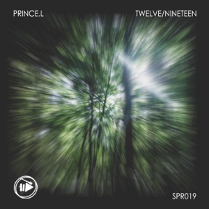 Twelve/Nineteen - Single
