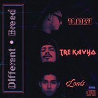 Different Breed (feat. To.Coast & Louis) - Single - Tre Kavyo