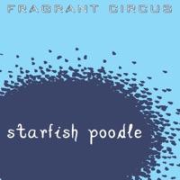 Starfish Poodle - Fragrant Circus