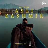 Asli Kashmir (feat. STYM) - Single - Desi Khan