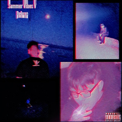 Summer Vibes V (Deluxe)