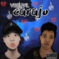 Vete Pal Carajo (feat. Tyger TDN) - Single - Mykee G