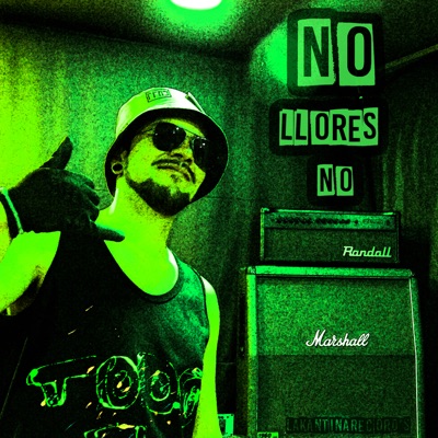 No Llores No - Single
