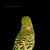 Armchair Apocrypha - Andrew Bird