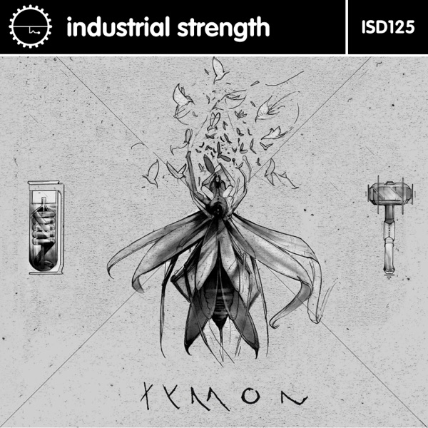 Rituals of Distortion: Chapter 3 - Single