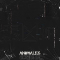 Animales (feat. Rapsa ALMN & Denso Estrada) - Single - Solo Dime Lucio