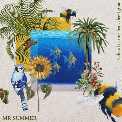 Mr Summer (feat. DeeRiginal) - Single